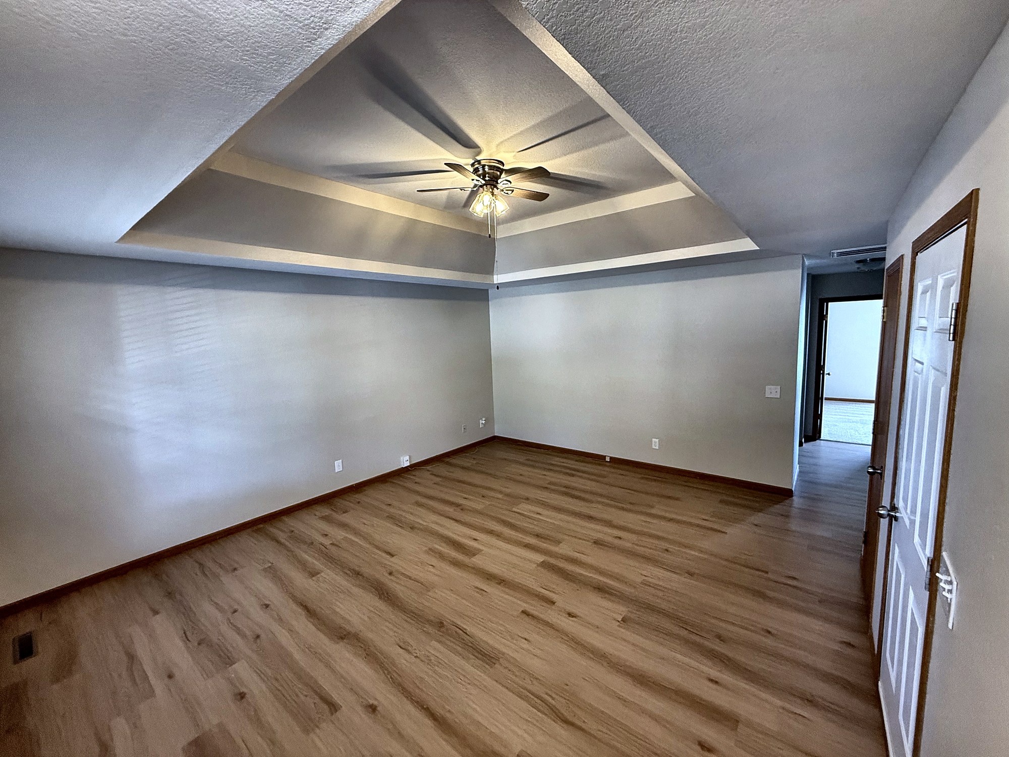 Living room with tray ceiling